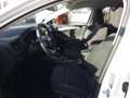 Ford Focus Limousine Titanium 1.0 EcoBoost MHEV LED SHZ RFK Weiß - thumbnail 17