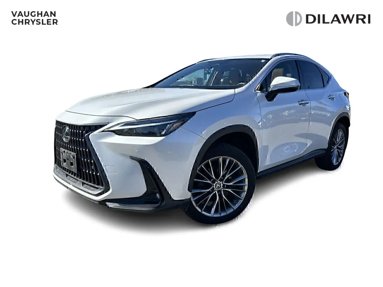 2022 Lexus NX