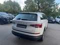Skoda Kodiaq Clever 4x4 2.0 TSI DSG,Ahk,Navi,ACC Blanc - thumbnail 3