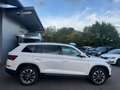 Skoda Kodiaq Clever 4x4 2.0 TSI DSG,Ahk,Navi,ACC Blanc - thumbnail 2