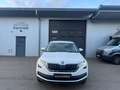 Skoda Kodiaq Clever 4x4 2.0 TSI DSG,Ahk,Navi,ACC Blanc - thumbnail 8