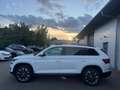 Skoda Kodiaq Clever 4x4 2.0 TSI DSG,Ahk,Navi,ACC Blanc - thumbnail 6