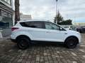 Ford Kuga Kuga 2.0 tdci Titanium 4wd 163cv powershift Bianco - thumbnail 6