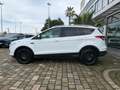 Ford Kuga Kuga 2.0 tdci Titanium 4wd 163cv powershift Bianco - thumbnail 3