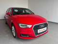 Audi A3 Audi A3 SB 1.6 TDI intense Rot - thumbnail 3