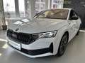 Skoda Octavia 1,5 TSI mHEV Sportline DSG *NEU* Weiß - thumbnail 2