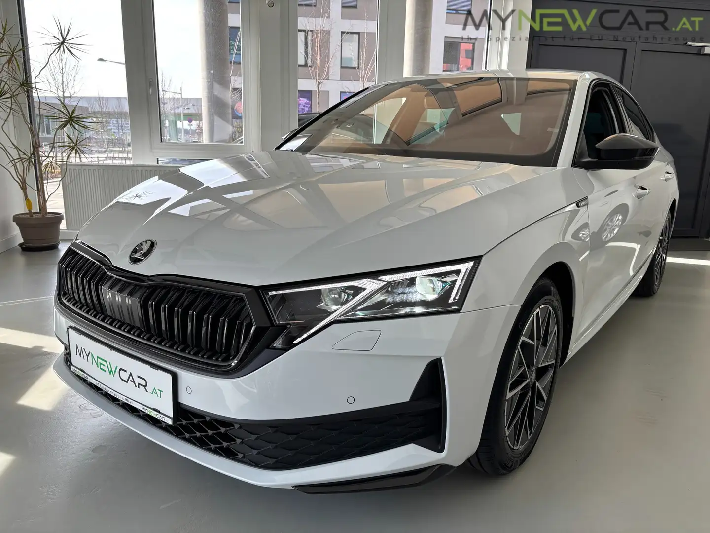 Skoda Octavia 1,5 TSI mHEV Sportline DSG *NEU* Weiß - 2