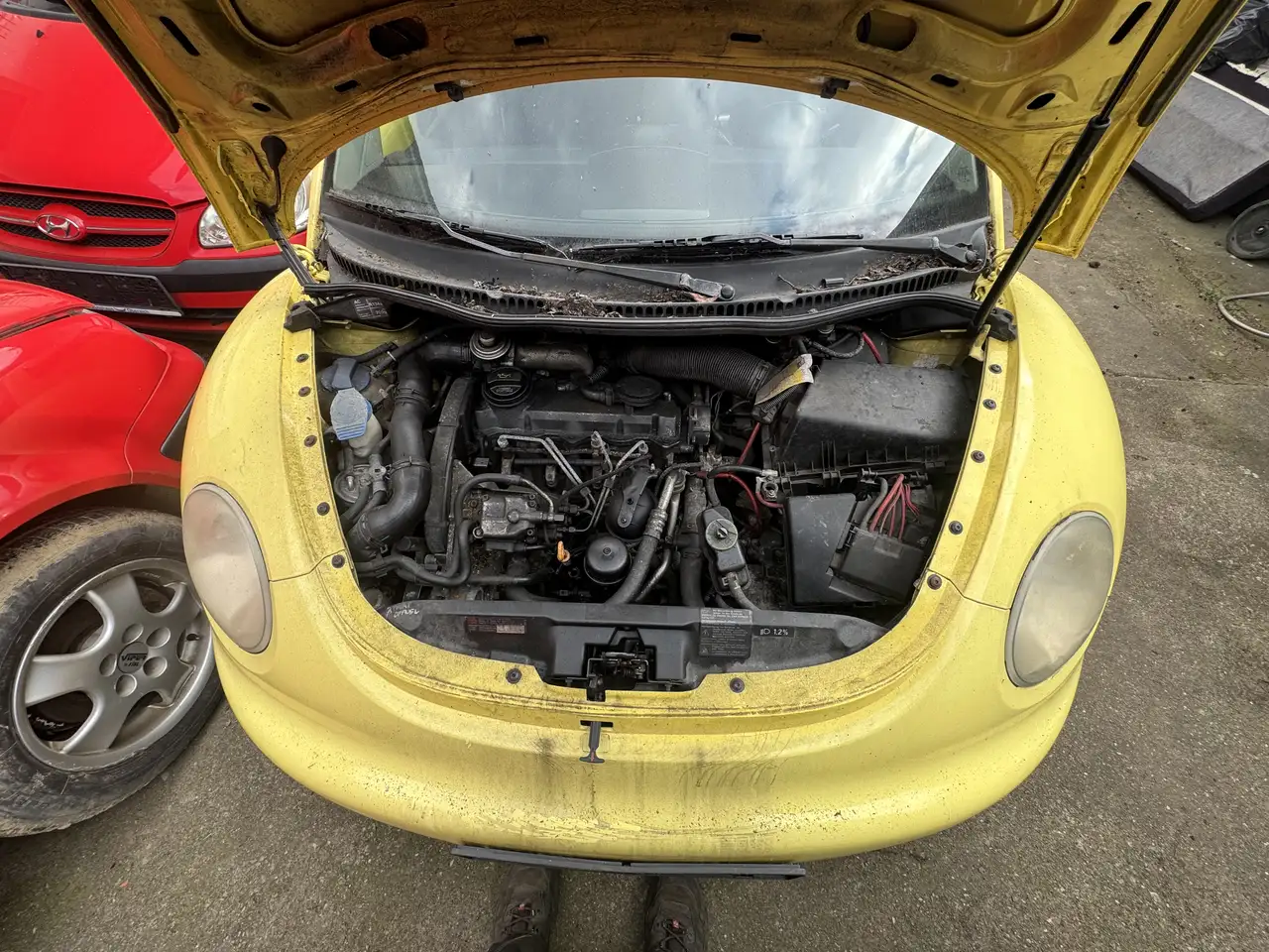 Volkswagen Beetle 1,9 TDI, foto 8