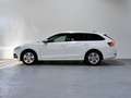 Skoda Octavia Combi 2.0TDI Ambition Plus DSG 110kW Blanco - thumbnail 4