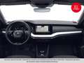 Skoda Octavia Style TDI DSG Grau - thumbnail 4