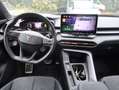 CUPRA Terramar VZ 2.0 TSI 265 PS DSG 4Drive Grau - thumbnail 11