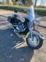 Yamaha XVZ 1300 Royal Star Beige - thumbnail 3