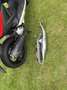 Yamaha Aerox - thumbnail 11