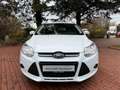 Ford Focus Turnier Sync Edition|PDC|Shzg|EU5! Weiß - thumbnail 9