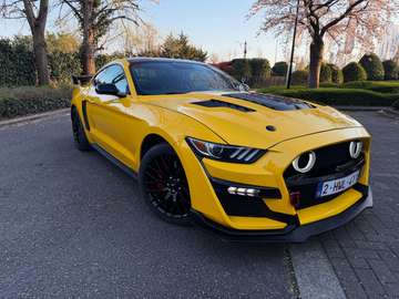 5.0 Ti-VCT V8 GT