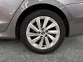 Skoda Octavia Selection TDI DSG Grau - thumbnail 20