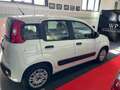 Fiat Panda Panda III 2016 1.3 mjt 16v Easy s Blanc - thumbnail 8