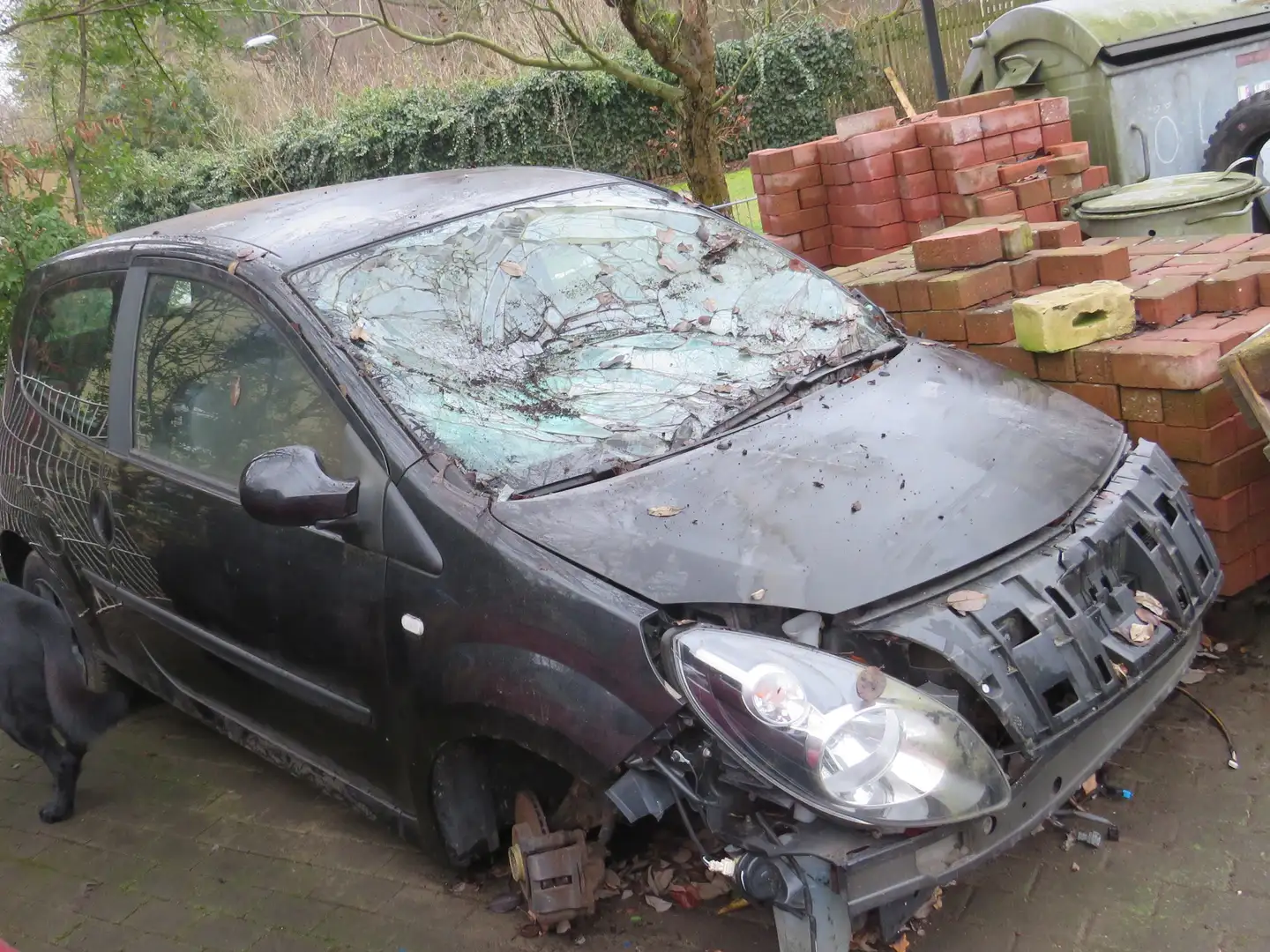 Renault Twingo Dynamique - 2