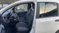 Fiat Panda 1.0 hybrid Easy s Bianco - thumbnail 3