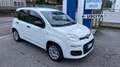 Fiat Panda 1.0 hybrid Easy s Bianco - thumbnail 7