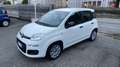 Fiat Panda 1.0 hybrid Easy s Bianco - thumbnail 10