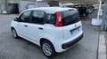 Fiat Panda 1.0 hybrid Easy s Bianco - thumbnail 11