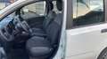 Fiat Panda 1.0 hybrid Easy s Bianco - thumbnail 5