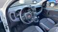 Fiat Panda 1.0 hybrid Easy s Bianco - thumbnail 2