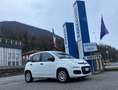 Fiat Panda 1.0 hybrid Easy s Bianco - thumbnail 6