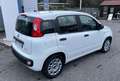 Fiat Panda 1.0 hybrid Easy s Bianco - thumbnail 12