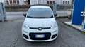 Fiat Panda 1.0 hybrid Easy s Bianco - thumbnail 9
