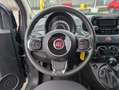 Fiat 500 1.2  69cv OK NEOPATENTATI Grigio - thumbnail 11