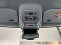 Opel Frontera Edition  145PS Mild-Hybrid Automatik Sitzheizun... Grün - thumbnail 10