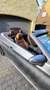Mercedes-Benz C 180 C 180 Cabrio 9G-TRONIC AMG Line Gris - thumbnail 5