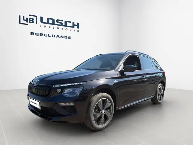Skoda Kamiq view 3