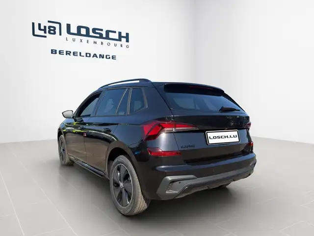 Skoda Kamiq view 6