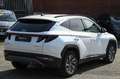 Hyundai TUCSON 1.6 HEV Exellence Lounge Pack auto. Bianco - thumbnail 5