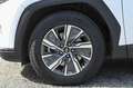 Hyundai TUCSON 1.6 HEV Exellence Lounge Pack auto. Bianco - thumbnail 10