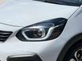 Honda Civic 1.5 Hybrid Crosstar Exec. Navi LED ACC Kamera Sitz Bianco - thumbnail 7