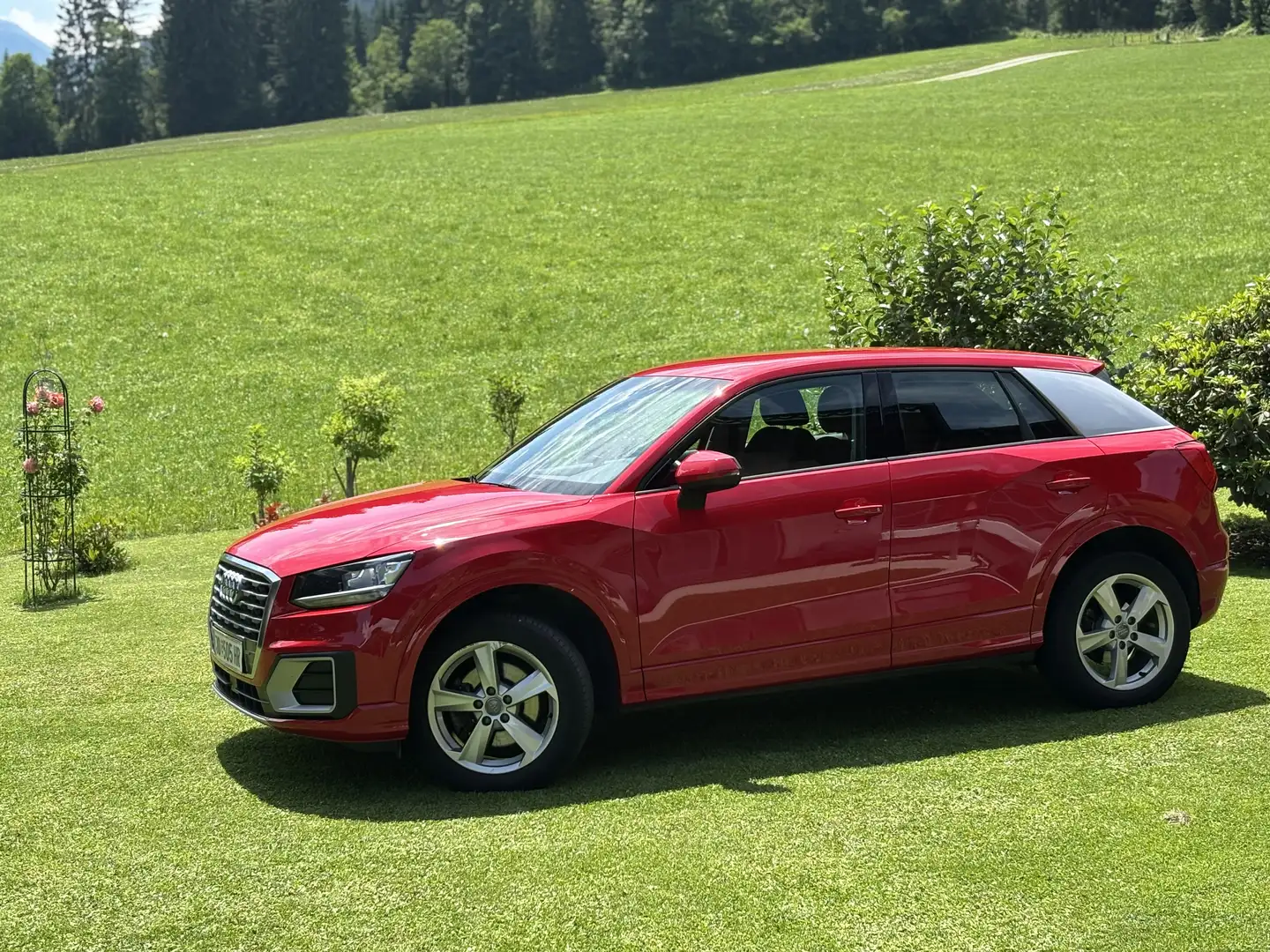 Audi Q2 1,0 TFSI Sport - 1