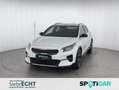 Kia XCeed Black Xdition 1.5*NAVI*RFK*SHZ*uvm Білий - thumbnail 1