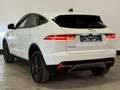 Jaguar E-Pace | 360°K | LED | TOTWINKEL&SPURASSIST Weiß - thumbnail 5