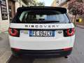 Land Rover Discovery Sport Discovery Sport 2.2 TD4 150CV 4X4 DIESEL Bianco - thumbnail 8