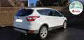Ford Kuga II 2.0 TDCI 150ch S/S 2WD TITANIUM Blanc - thumbnail 3