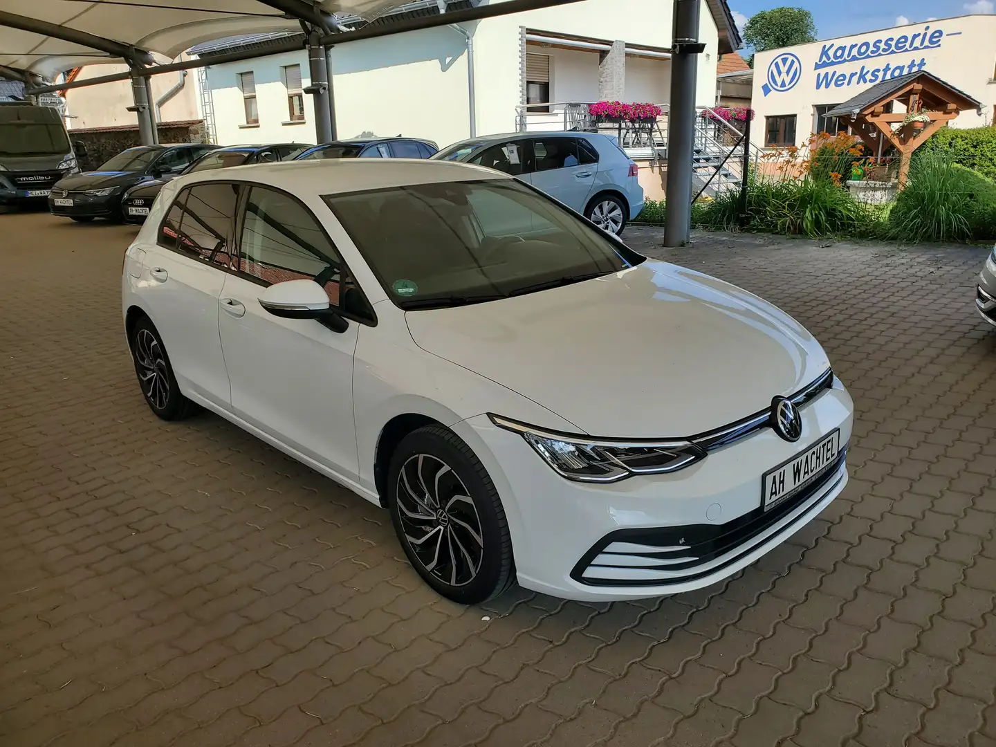 Volkswagen Golf Life 1,5 TSI DiscoverPro 17-Zoll AHZV Licht+Sicht Weiß - 2