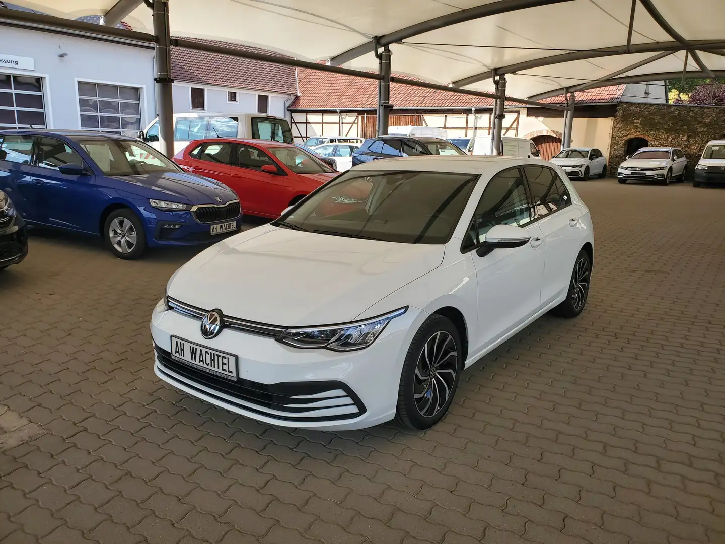 Volkswagen Golf Life 1,5 TSI DiscoverPro 17-Zoll AHZV Licht+Sicht Weiß - 1