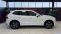 Volvo XC60 D4 Inscription Premium Edition AWD Aut. Blanco - thumbnail 4