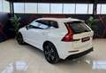 Volvo XC60 D4 Inscription Premium Edition AWD Aut. Blanco - thumbnail 8