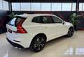 Volvo XC60 D4 Inscription Premium Edition AWD Aut. Blanco - thumbnail 5