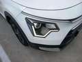 Kia Niro 1.6 HEV Concept Blanco - thumbnail 15